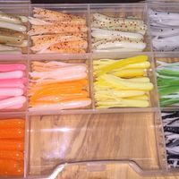 50 PIECE MUDDYWATER BOX WITH 5 JIG HEADS