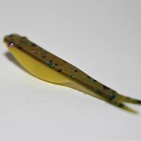 BABY BROWN TROUT MINNOWS AND FLUKES 