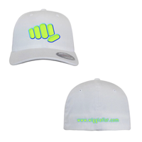 fist logo hat 