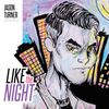 Like The Night: CD