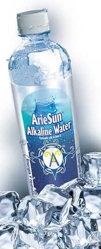 ALKALINE WATER - 16.9 FL OZ - PER CASE OF 24