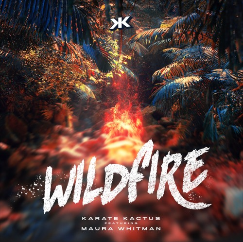 Click on the image to listen to "Wildfire" on your preferred streaming service