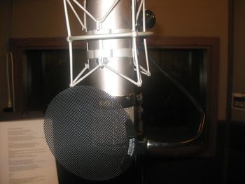 Vocal mic
