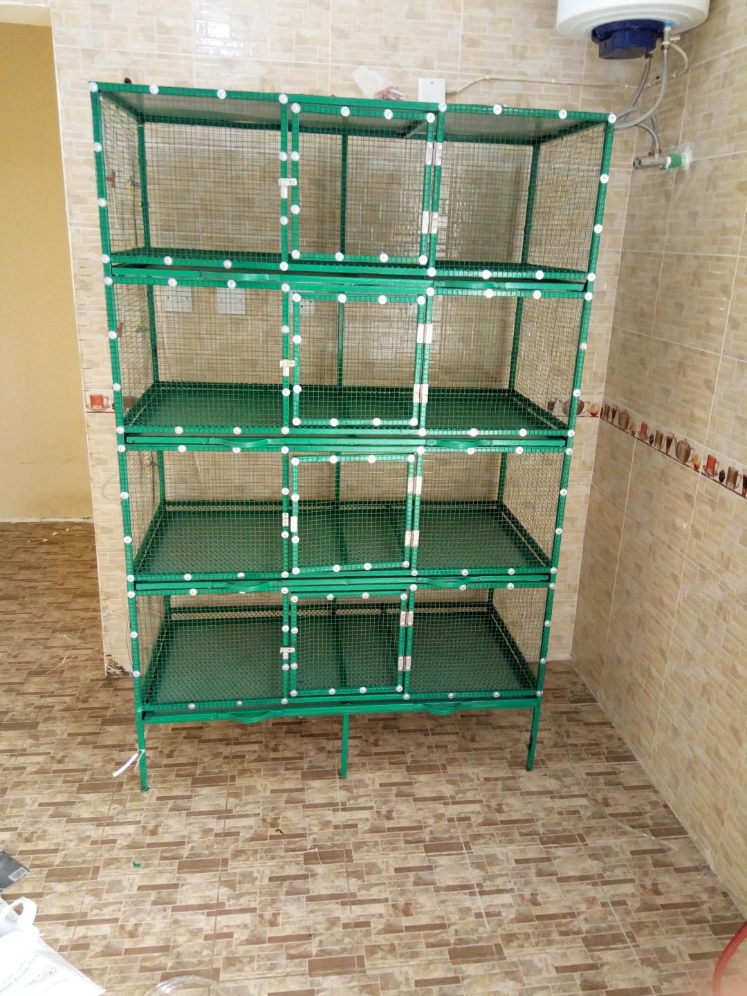 Happy Tails Flemish Giants Indoor SetUp