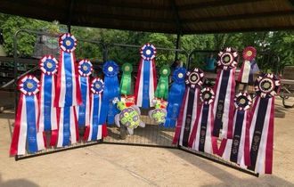 June 2021 FAST CAT Ribbons Display - congrats to ALL of our winners!