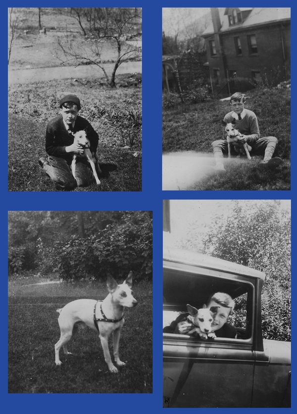 Photos of are my uncle Patrick Maschke, probably taken near Tyrone, PA.  Patrick passed away in World War II.  This is his Rat Terrier, Bounce!  Circa 1935.

Submitted by Shannon Roseberry