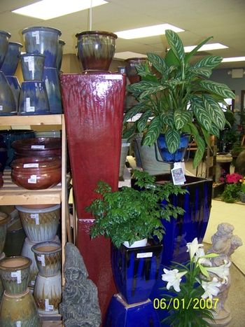 MANY DIFFERENT SIZES AND SHAPES OF CERAMIC AND GLAZED POTTERY TO FIT BOTH INTERIOR AND EXTERIOR NEEDS WE ALSO CAN POT UP THE GREEN PLANTS OR ANNUALS OF YOUR CHOICE OR LET US DESIGN AN ARRANGEMENT FOR YOU
