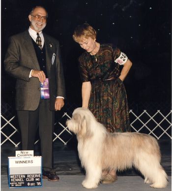 Autumn and Lory winning her US title at 18 months old. See her adult colour coming in

