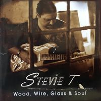 Wood, Wire, Glass & Soul by Stevie T