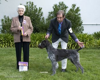 Best of Breed over the #1 wirehair in the US!
