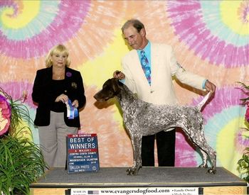 Kelly (CH Cukar Ridge's Meant to Be) finishing her show title! She had a great day at Woofstock!!! 4 Point Major!
