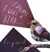 I Dreamt I Was A Bird: Vinyl
