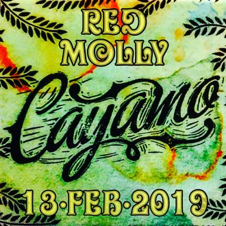 Red Molly - Cayamo 2/13/2019