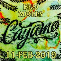 2019-02-11 Sixthman Cayamo Cruise - Spinnaker (Norwegian Pearl) [Red Molly] by Red Molly