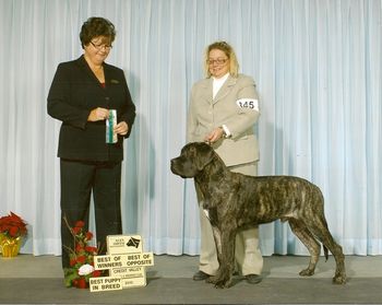 December 11, 2010. Judge Ms. W Paquette Best Puppy, Winners Dog, Best of Winners and Best of Opposite all at 6 1/2 mos of age.
