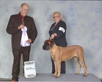 Best Baby Puppy in Group September 13, 2012 with Judge Alan Bennet.
