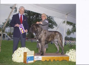 Biggs winning BOB out of the BBE class over specials for a 4 pt major. Judge Robert L Vandiver thank you. September 2012.
