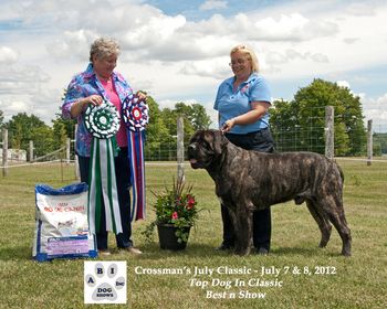 BIS #2 for the weekend and Top Dog Honours as well! Thank you Judge Gail Neilson!
