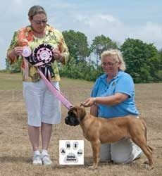 Dixie's very first Best Puppy in show with Judge Julie Pepper.
