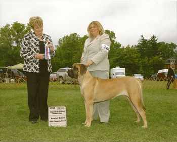 BOB, WB, Best Puppy and her first points. September 12, 2010 under Judge Ms. S. White.
