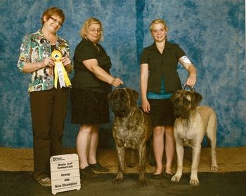 The weekend of July 24 to 26, 2009,Mona took 5 Best of Breeds and a group 3rd and 4th. GPS her daughter got her first championship at 8 Months.
