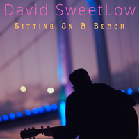 Sitting On A Beach by David SweetLow