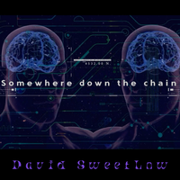 somewhere down the chain by David SweetLow
