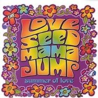 Summer Of Love by Love Seed Mama Jump