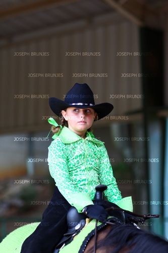 Nikki getting ready for the show ring
