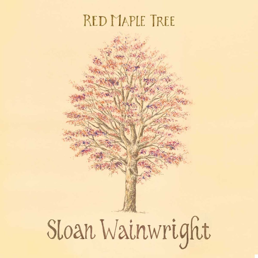 sloan-wainwright-new-album-red-maple-tree