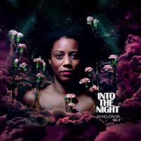 Into The Night: CD