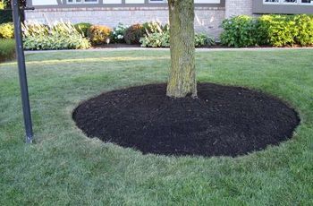 Finished mulch circle cut with carbide bedshaper.
