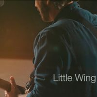 Little Wing by Jason Sinay