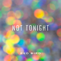 Not Tonight by Red Bird
