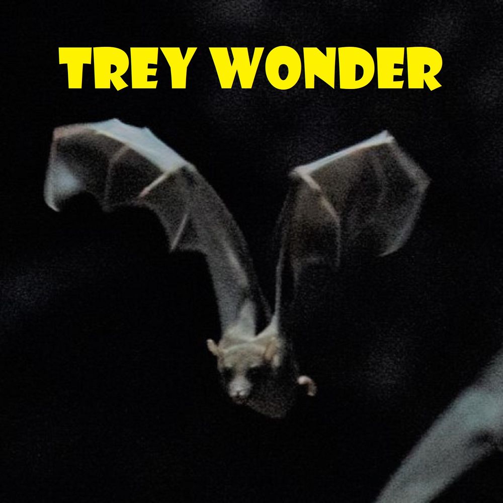 Buy Trey Wonder Music