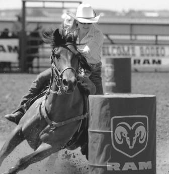 Moons Dyna, now owned by Shayna Dodds.  Multiple futurity finalist, and derby finalist.  7th at 2015 ABRA finals running a 17.4 regulation.  4th in the CBHI Derby Superstakes running another 17.4 in the first two rounds.  3rd in the average and short go at the CBHI Derby running another 17.4 on regulation pattern in the short go
