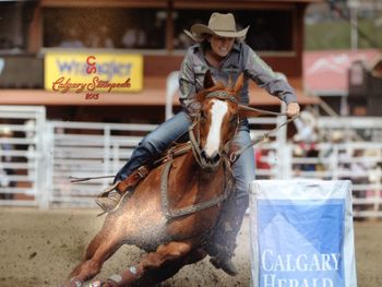 Reved and Rapid (aka: REVY).  Multiple futurity and derby finalist, pro rodeo money earner, 2014 CFR finalist, and pictured at 2015 Calgary Stampede final four Showdown.
