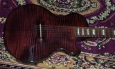 Gibson Les Paul Acoustic 