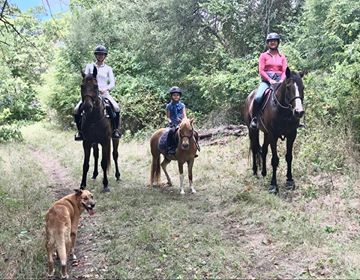 Lil Painty is proving to be an amazing trail pony!  In case your kiddos want to see any updates on their pony. 🙂 We’re still working on arena manners but my gosh he is unflappable and sweet on the trail. Teaching my OTTB some things. 🙂 He’s been renamed “Horse Buckaroo” by my girls, aka “Bucky”—I know but I let them pick.