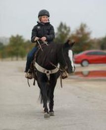 SOLD!!! ~ "Rolex" - 12.2H, 6 year old fancy black pony gelding