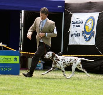 Lana on the move at the Dalmatian National 2012
