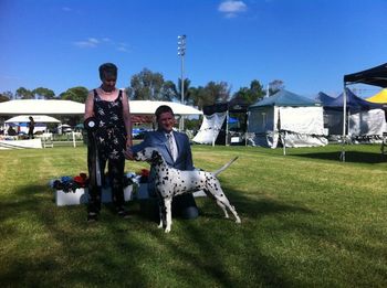 Holly Winning Res CC and Puppy in Show at the Sydney specialty show 2012
