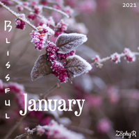 Blissful January by Z8phyR