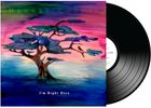 I'm Right Here: LIMITED COLLECTORS EDITION Vinyl!