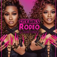 Rodeo (B. Ames Remix) by City Girls