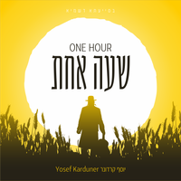 שעה אחת  One Hour by Yosef Karduner