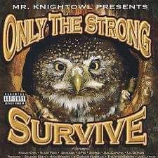 Only The Strong Survive: CD