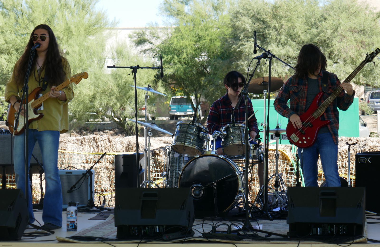 Southern Arizona Blues Heritage Foundation - Blues Heritage Festival ...