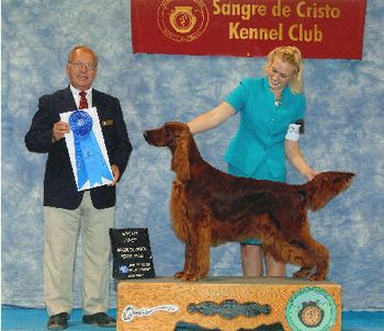 Shown winning her first Group I under respected Judge Sid Marx. Izzie was on her way.
