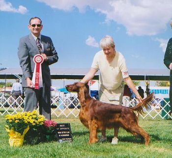 Shown going Best of Opposite Sex at the Irish Setter Club of New Mexico.
